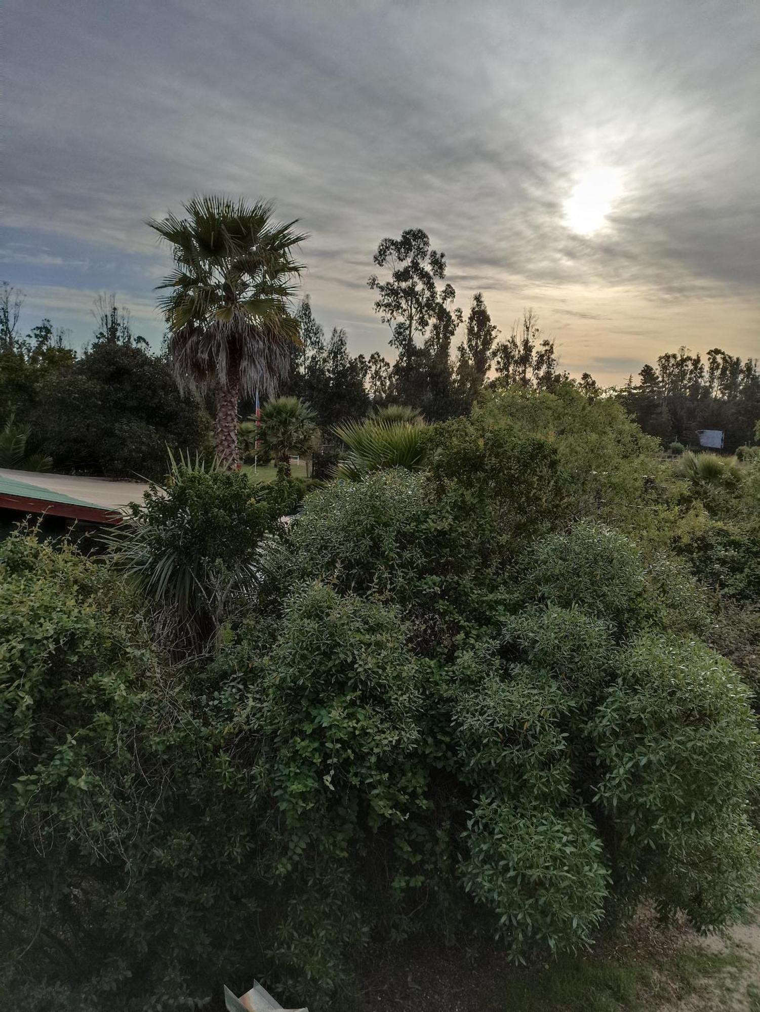 El Algarrobo Εξωτερικό φωτογραφία