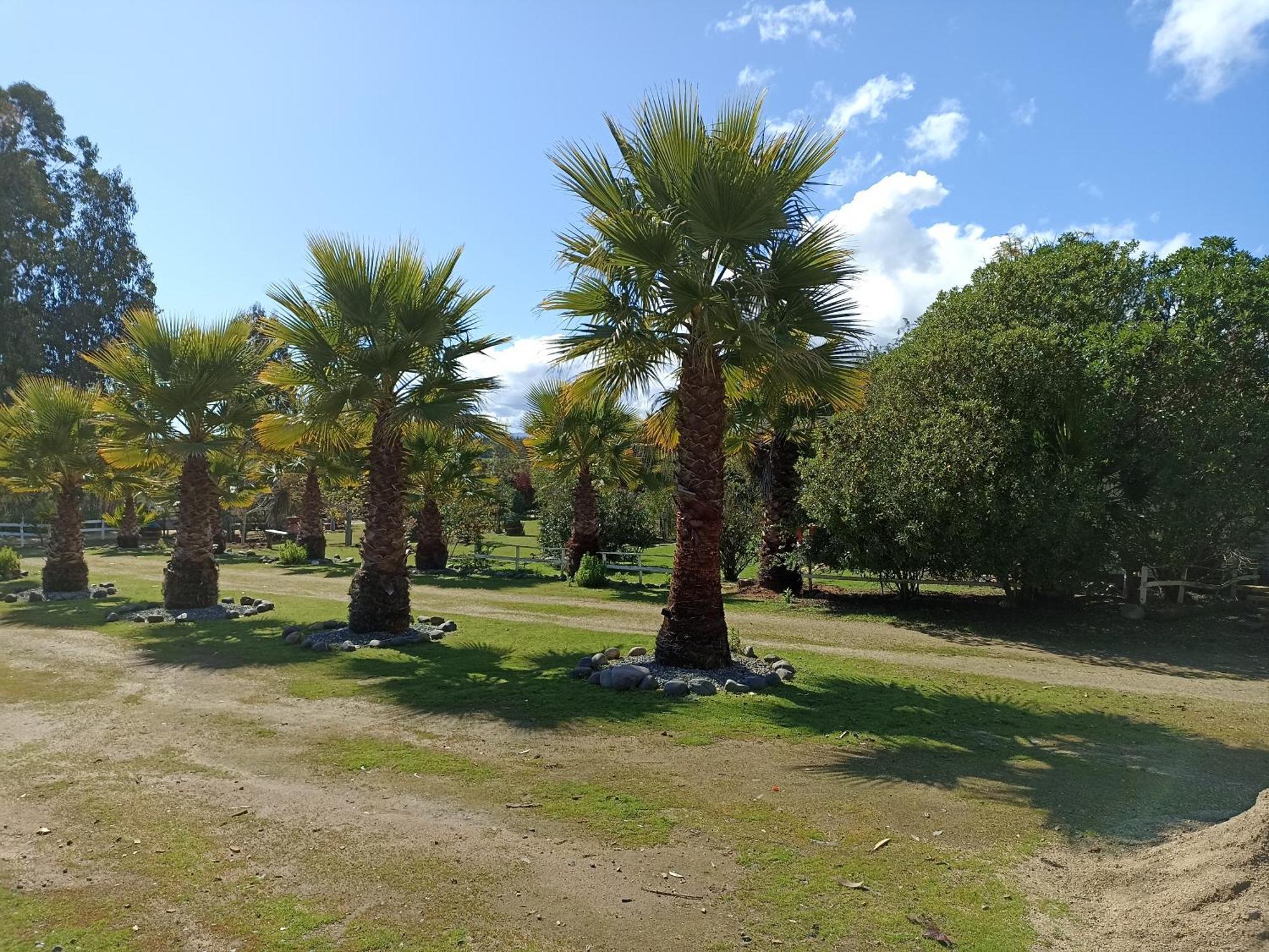 El Algarrobo Εξωτερικό φωτογραφία